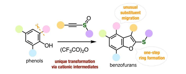新的苯并呋喃合成方法能够创建复杂的分子