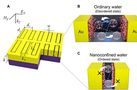 新研究揭示了太赫兹波对纳米水分子动力学的影响