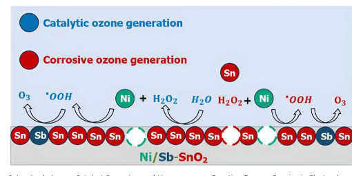 工程师解开电化学臭氧生产中的催化与腐蚀之谜