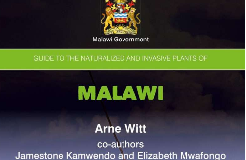 研究人员发布马拉维归化和入侵植物指南