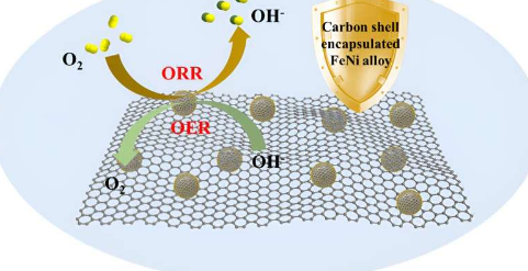 Chainmail 催化剂用于增强氧电催化的碳封装 FeNi 合金