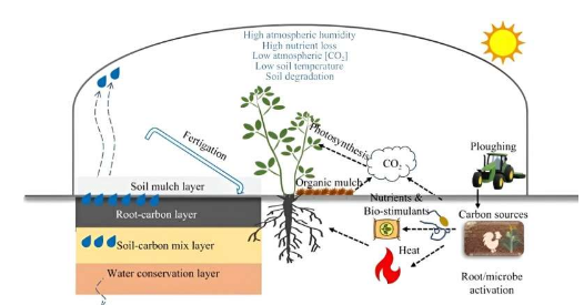 塑料温室农业一种新颖的土壤剖面设计可实现全球可持续性和提高作物产量