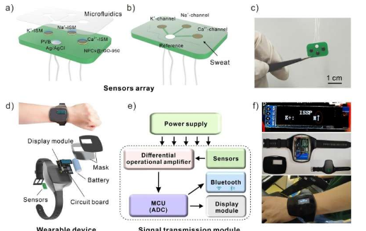 汗液传感器腕表可实时监测身体化学反应