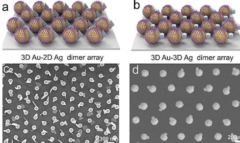 研究人员实现金-银异二聚体阵列的受控合成用于高分辨率加密信息