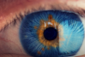 默克公司以高达30亿美元收购EyeBio重返眼科药物领域