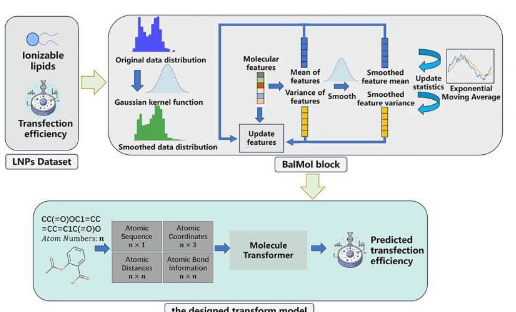 科学家提出了用于 mRNA 递送中脂质纳米颗粒筛选的新型 AI 方法