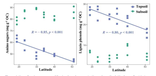 研究揭示森林土壤微生物残留物和木质素酚积累的纬度模式控制因素