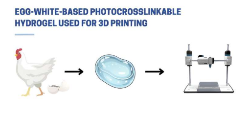 科学家开发革命性的蛋清基生物墨水用于先进的组织工程