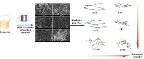 科学家利用感应电场改性柑橘果胶
