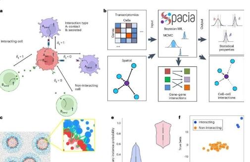 计算机模型增强了细胞间通讯的检测