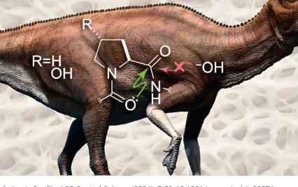 化学家解释恐龙胶原蛋白为何可能存活了数百万年