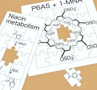 研究人员没有充分考虑生物学中的变异高通量生物传感器测量指示疾病的代谢物水平