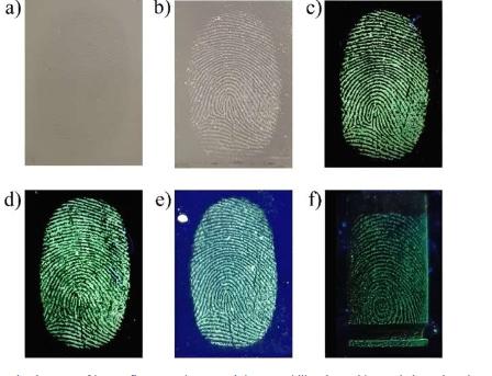 荧光纳米材料可以改变我们观察指纹的方式