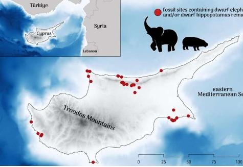揭开古代欧洲灭绝之谜旧石器时代塞浦路斯的矮巨型动物消失