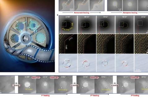 纳米银无需外界干预即可展现出内在的自修复能力