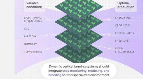 科学家探索室内垂直农业如何满足未来的粮食需求