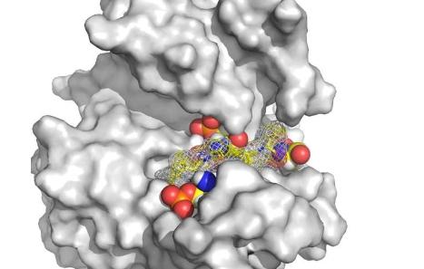 结束时差科学家发现调节人体生物钟的秘密