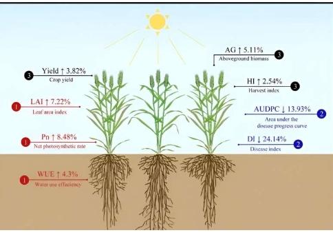 实地研究发现利用生物多样性代替杀虫剂可以减少食草动物对农作物的破坏