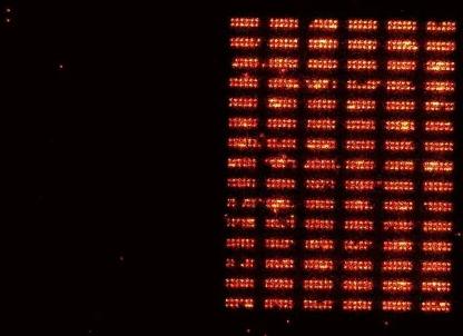 量子寄存器连续运行可达1200个中性原子